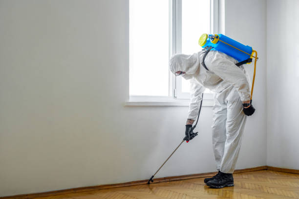 Best Organic or Eco-Friendly Pest Control  in Highland Heights, OH